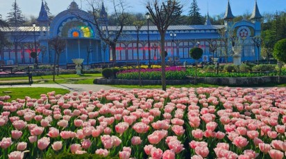 В Пятигорске теплая погода вызвала ранний карнавал тюльпанов