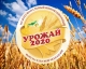 Межрегиональный форум сельской молодёжи «Урожай-2020» пройдёт в 8-й раз