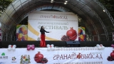 «Гранатовый сад» в Ставрополе объединил около полутысячи участников