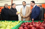 Делегации Катара показали плоды из огромного сада