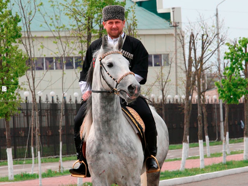 Скакуны из Чечни завоевали высшие призы на конном турнире в Словакии