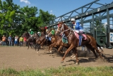 В скачках участвовали скаковые лошади из 6 регионов РФ и  Абхазии
