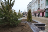 Деревья посадят на реконструируемой части улицы