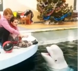 Дельфины приветливо встретили Настю и ее маму