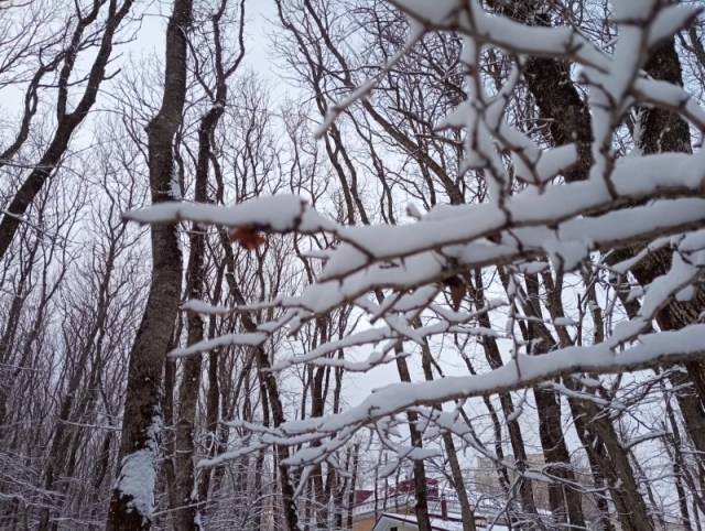 <i>Погода в Ставрополе удивила снегом с громом</i>