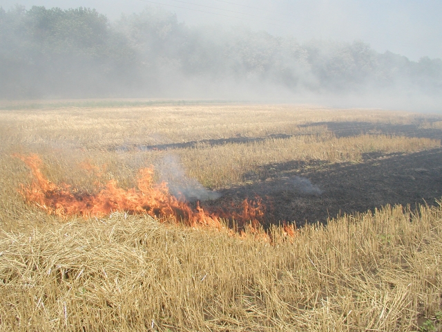 <i>Пожарные противостоят ландшафтному пожару в Ставрополе</i>