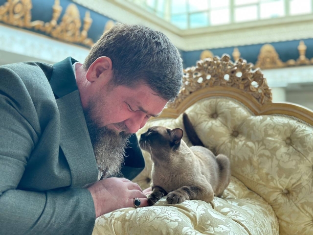 <i>Кадыров угодил интернет-публике своим снимком с котом</i>