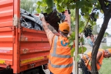 Отходы попали на полигон у Светлограда и мусоросортировочный комплекс у хутора Нижнерусский