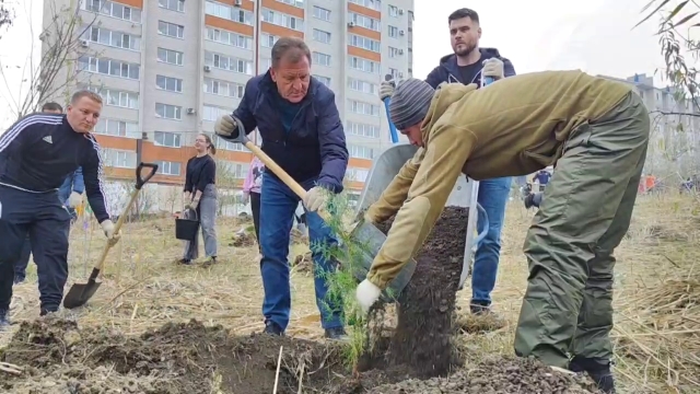 <i>В урочище Мутнянка Ставрополя высадили 100 новых деревьев</i>