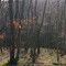 На Ставрополье прокуратура добилась возмещения ₽7,3 млн за незаконную вырубку леса на КМВ