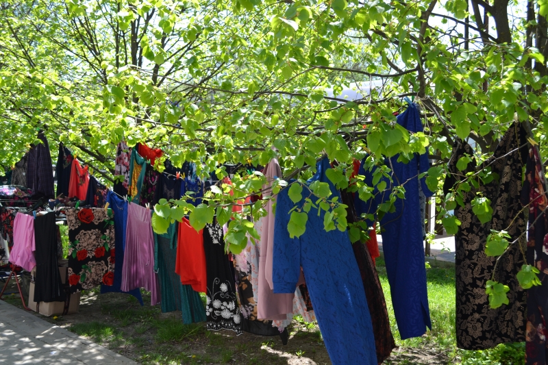 В Ставрополе пресекли торговлю на деревьях, в аллеях и у дорог