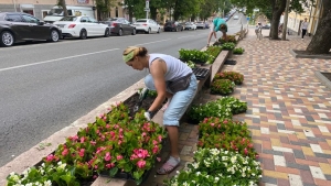 В Ставрополе клумбы  украсят 460 тысяч летних цветов и ковровых культур