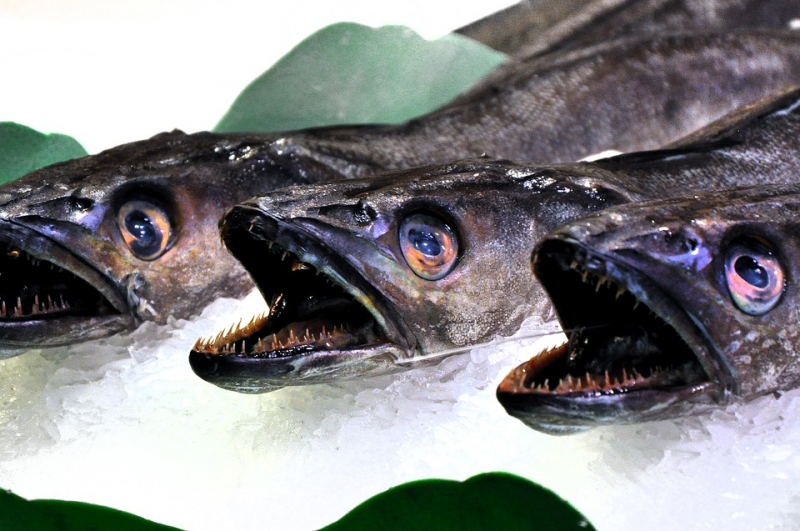 Есть данные, что шесть тонн просроченной рыбы решили "выбросить" на рынок Ставрополя 