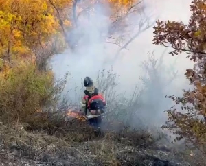 В Пятигорске тушат пожар на склоне Машука. Видео