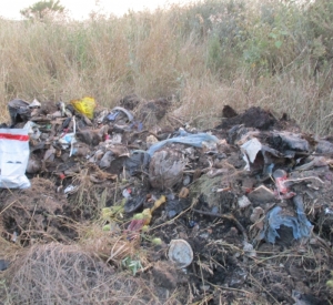 Власти на Ставрополье установили мусорки на кладбище и неприятно удивились
