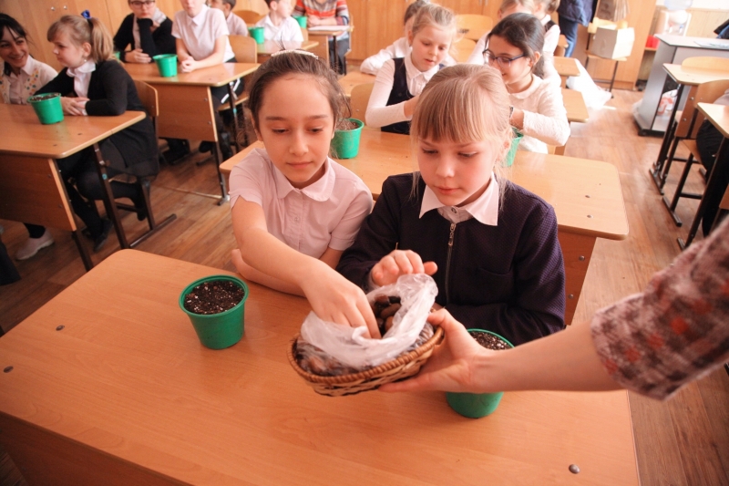 Школьники Ставрополья выращивают дубы