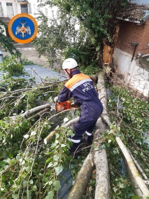 В Ставрополе непогода повалила деревья