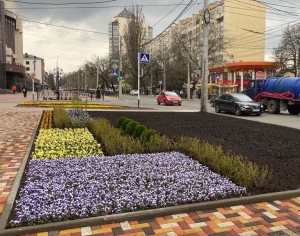 В центре Ставрополя стараниями озеленителей появилась новая фактурная клумба