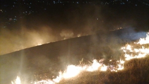 В Предгорном округе потушили ландшафтный пожар на горе Юца