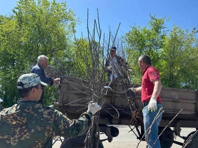 <i>В Карачаево-Черкесии семьям бойцов СВО бесплатно выдали свыше тысячи саженцев яблонь</i>