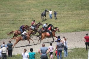 Казаки Суворовской станицы провели конные скачки в День России