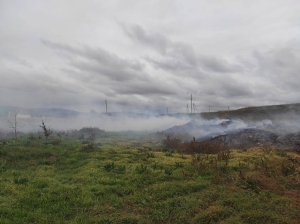 Дым, пух и перья: В Ингушетии население пожаловалось на вонь с птицефабрики