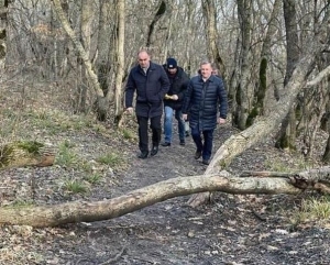 В Пятигорске на Машуке высадят новые деревья