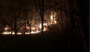 Меликов отреагировал на недельный пожар в Левашинском районе РД