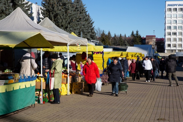 <i>В Ставрополе сократился путь продуктов питания от производителей до покупателей</i>