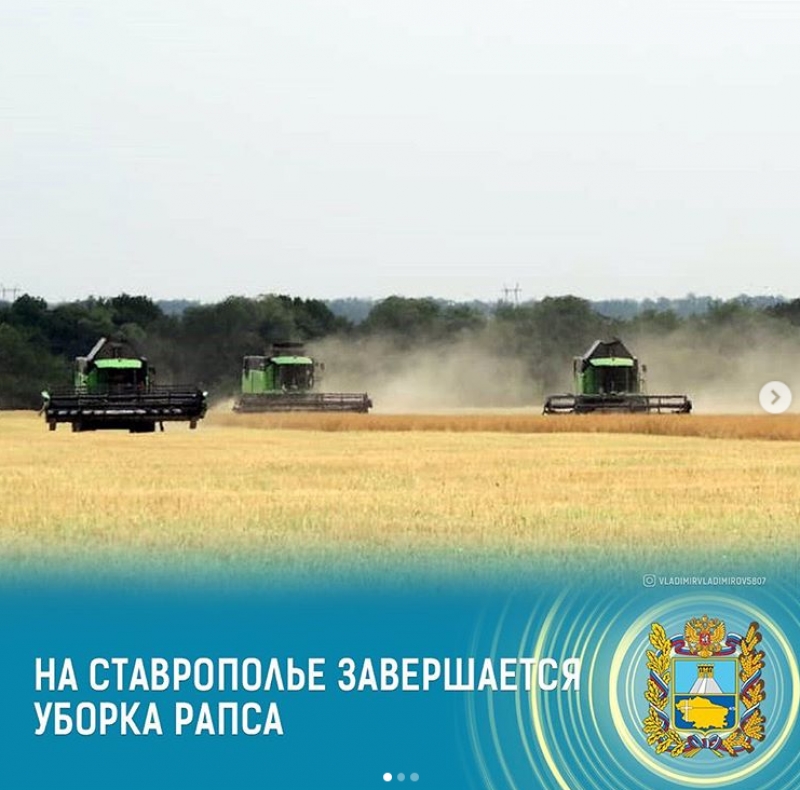 Губернатор Ставрополья: Рапс ценен еще и как «партнер» многих сельхозкультур