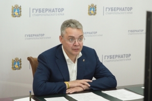 На Ставрополье завершилось народное голосование по региональным мерам поддержки участников спецоперации