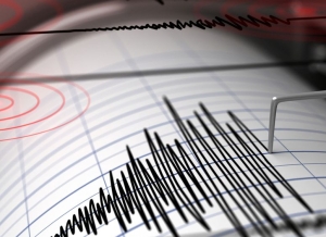 МЧС: В Ингушетии 6 марта зафиксировано землетрясение в 2,2 балла