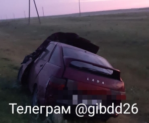 В Левокумском округе водитель ВАЗа погиб после столкновения с коровой