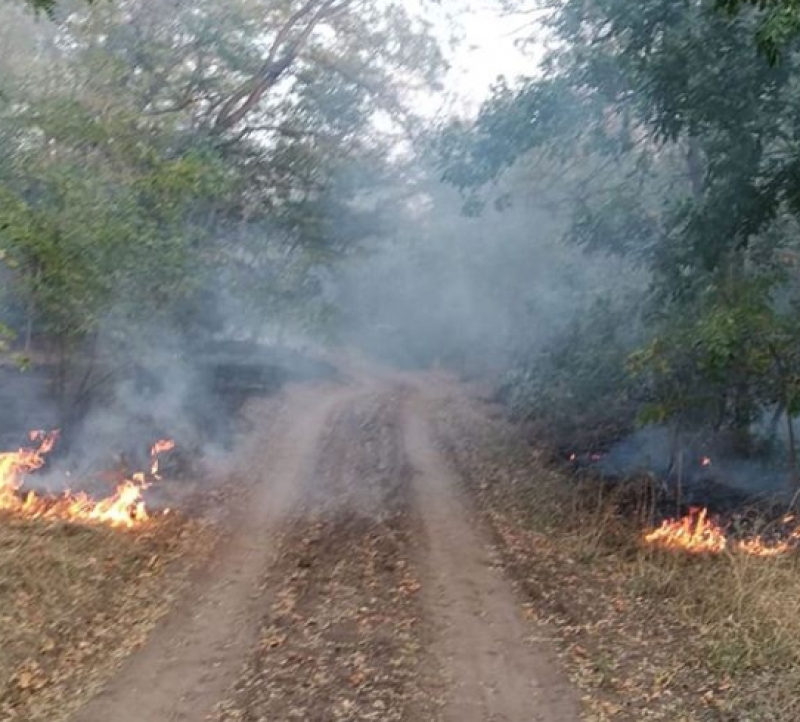 Пламя бушует недалеко от села