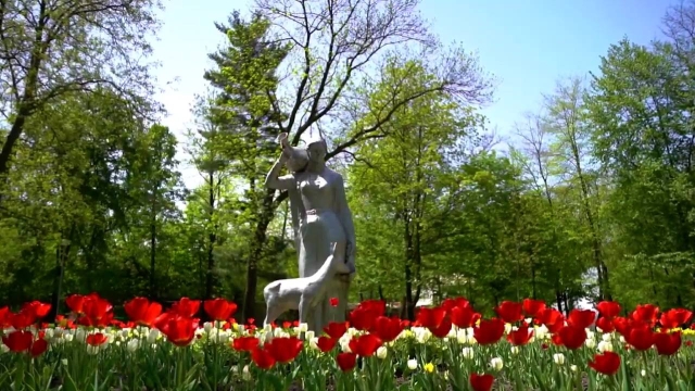 <i>Владикавказ украсит миллион цветов</i>