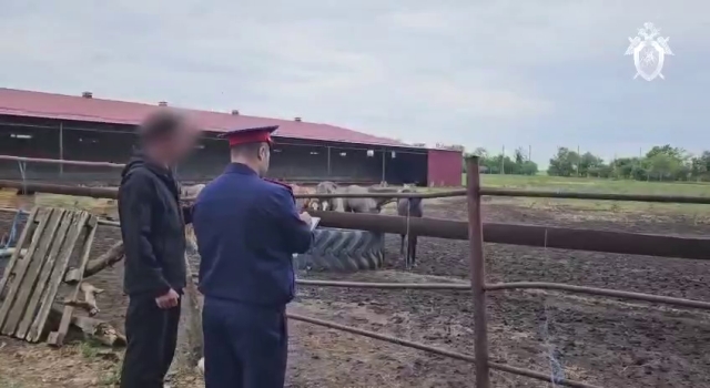 <i>На Ставрополье очевидцы сообщили о вывозе погибающих лошадей КамАЗами с конезавода</i>