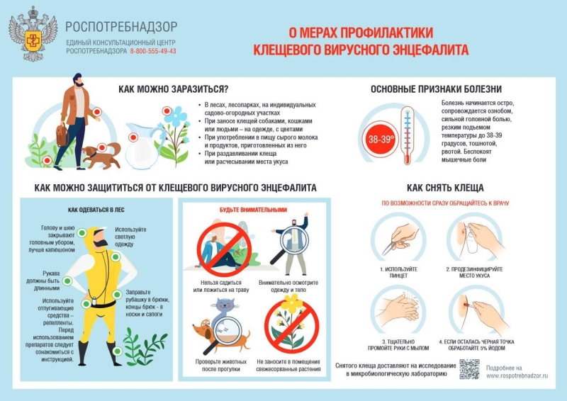 На Ставрополье при 622 укушенных клещами выявили первый случай КГЛ