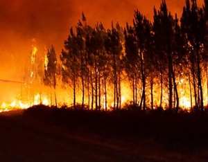 В лесах Ставрополя усилили меры пожарной безопасности