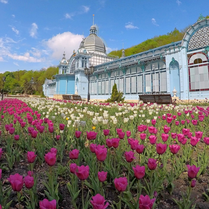 В Железноводске высадят более 100 тысяч цветов в Курортном парке