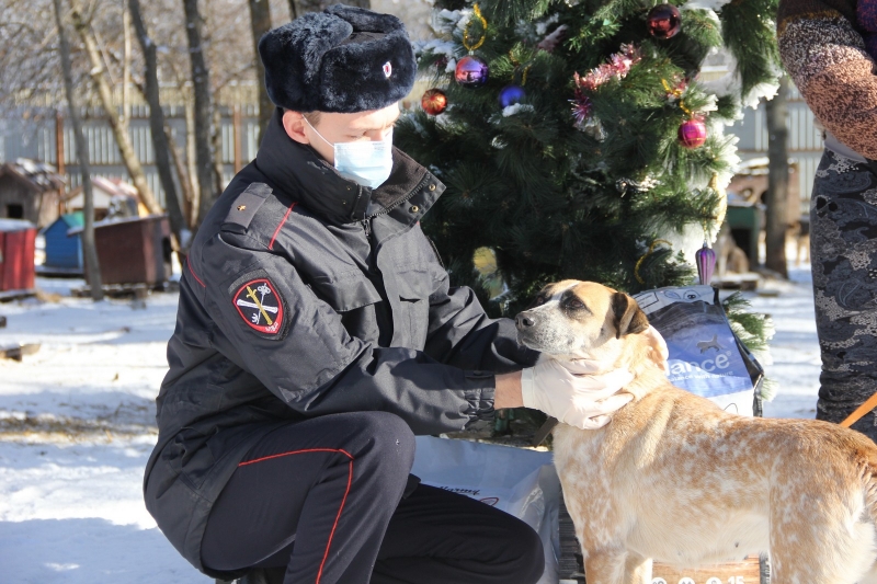 В Ставрополе сотрудники полиции посетили приют безнадзорных животных