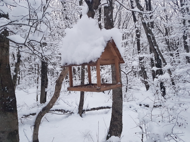 МЧС предупредило о мокром снеге и гололедице на Ставрополье 6 февраля