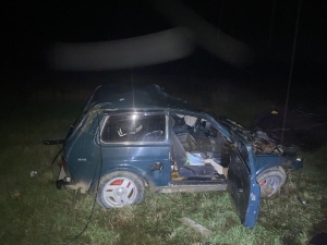 Корова на дороге стала причиной гибели водителя в Советском округе Ставрополья