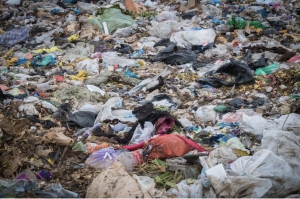 Столетняя свалка в Железноводске вместила более 226000 кубических метров отходов