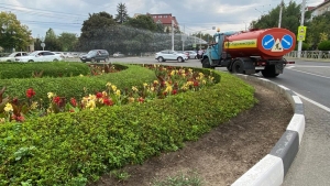 В Ставрополе из-за жары приходится интенсивнее поливать городские цветники