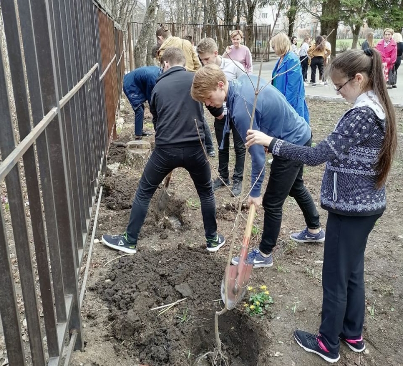 Школьники Ставрополя посадили 350 деревьев