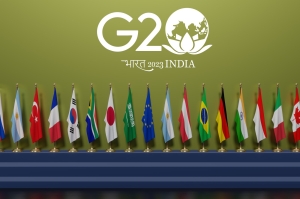 Эксперт Ставропольского филиала РАНХиГС: Саммит G20 принял сложную итоговую декларацию