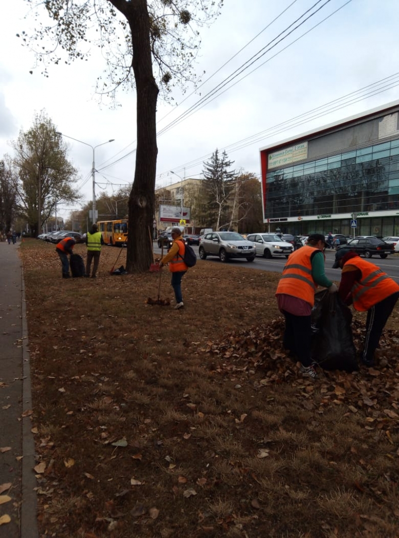 В Ставрополе ежедневно убирают с улиц 90 кубометров опавшей листвы