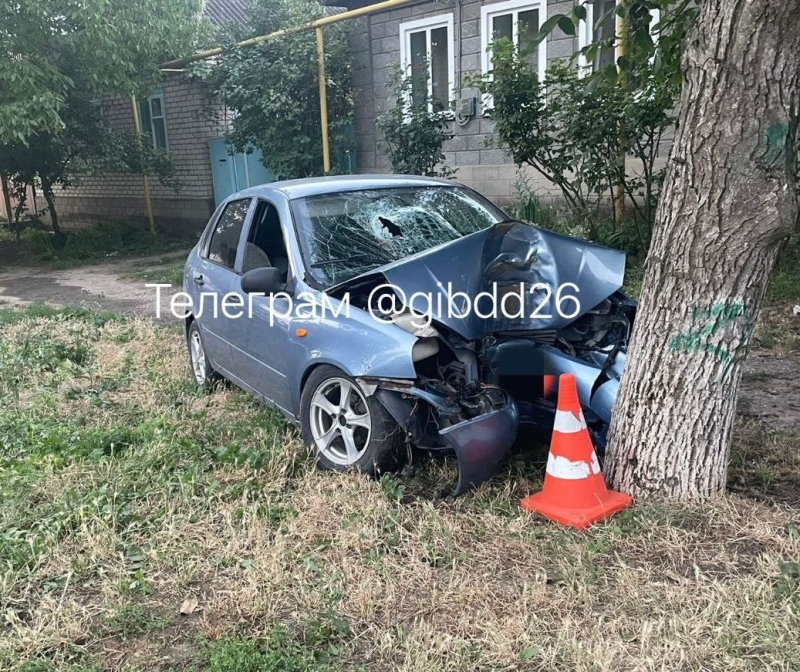 На Ставрополье пьяный водитель в селе Александровском ночью врезался в дерево
