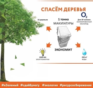 Жителей Ставрополя 6 марта приглашают на экомарафон «Сдай макулатуру – спаси дерево»