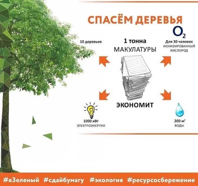 <i>Жителей Ставрополя 6 марта приглашают на экомарафон «Сдай макулатуру – спаси дерево»</i>